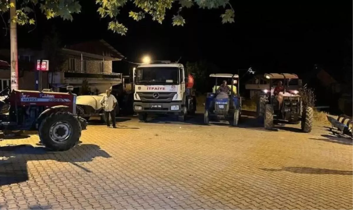 Yenişehir'de Orman Yangınına Kontrol Tedbirleri