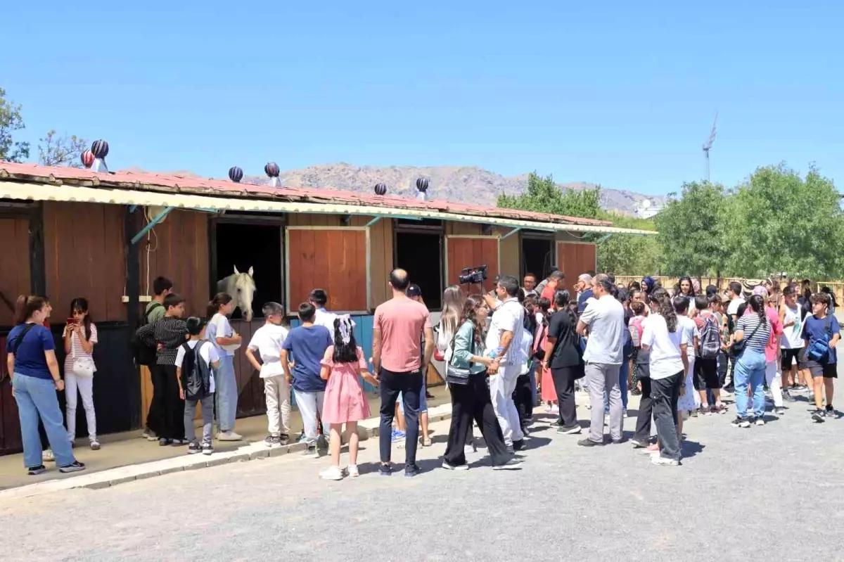 Elazığ Yaz Okullarında Tarihi ve Kültürel Gezi Düzenlendi