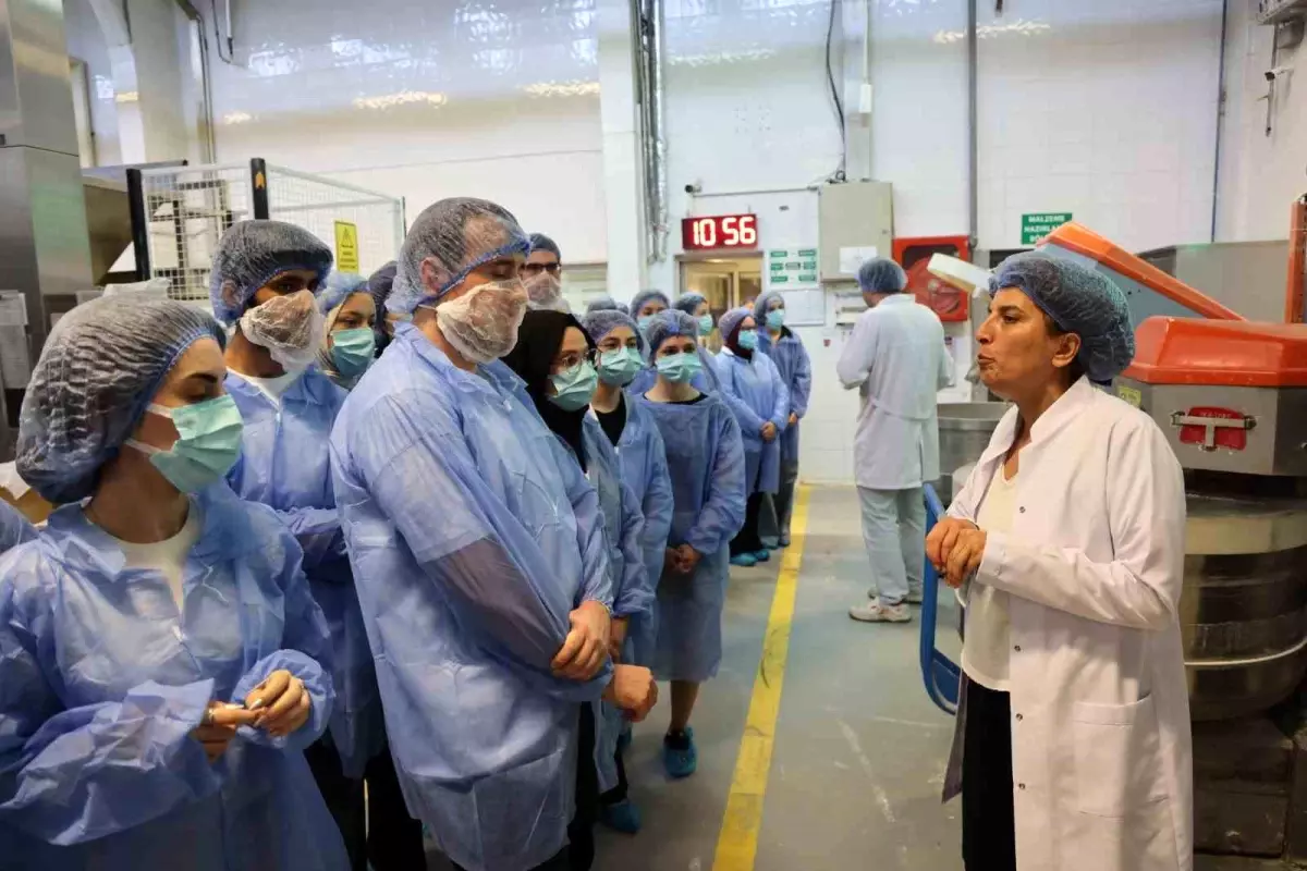 Gençler Gülümseyen Gençlik Programı Kapsamında BESAŞ'ı Ziyaret Etti