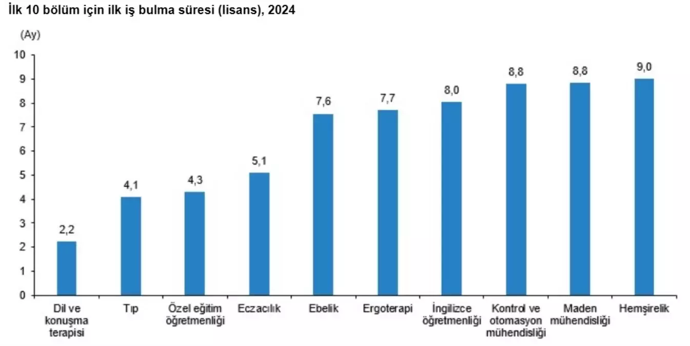 2024 Yükseköğretim Mezunları İstihdam Oranı