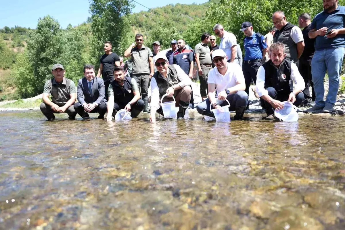 Düzce'de Doğaya 20 Bin Alabalık ve 5 Kukumav Salındı