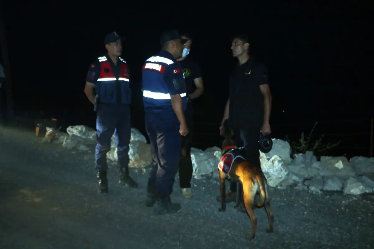 Alanya'da Orman Yangını