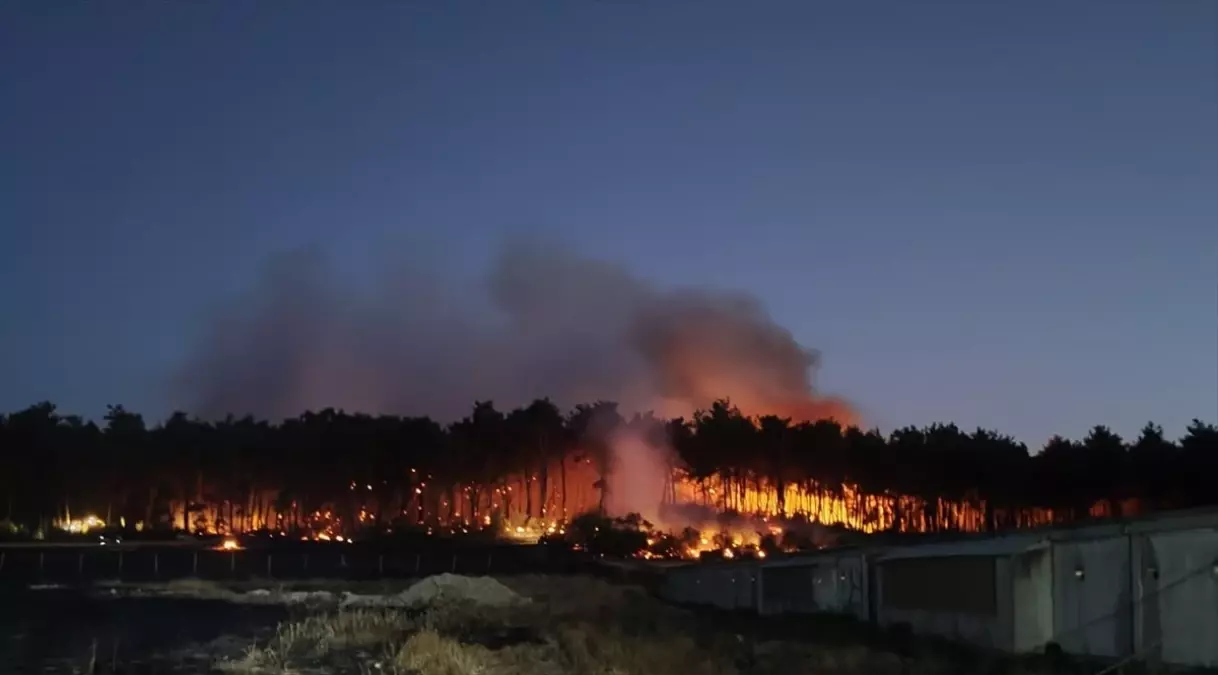 Savaştepe'de Tavuk Çiftliğinde Yangın