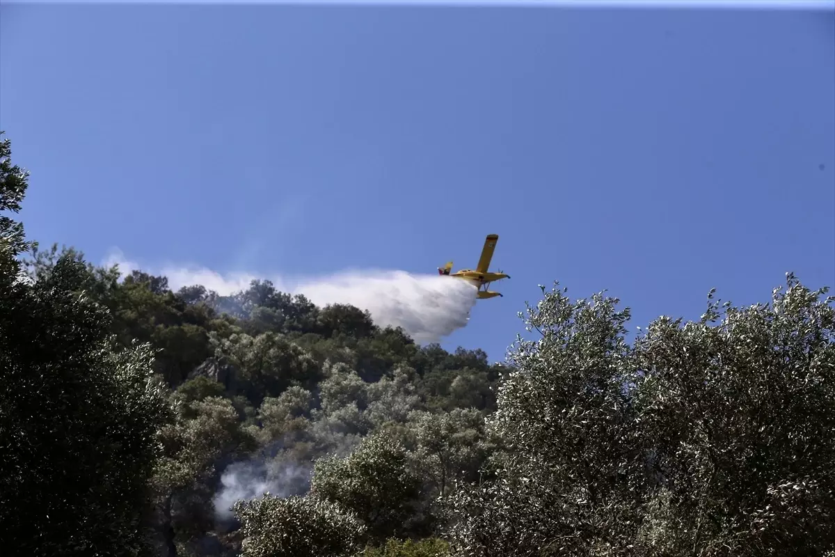 Ortaca'da Orman Yangını Kontrol Altında