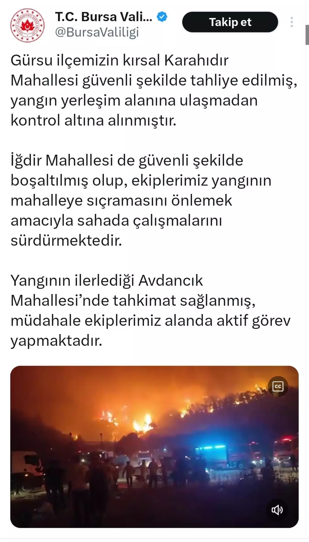 Osmangazi'ye İlerleyen Orman Yangını