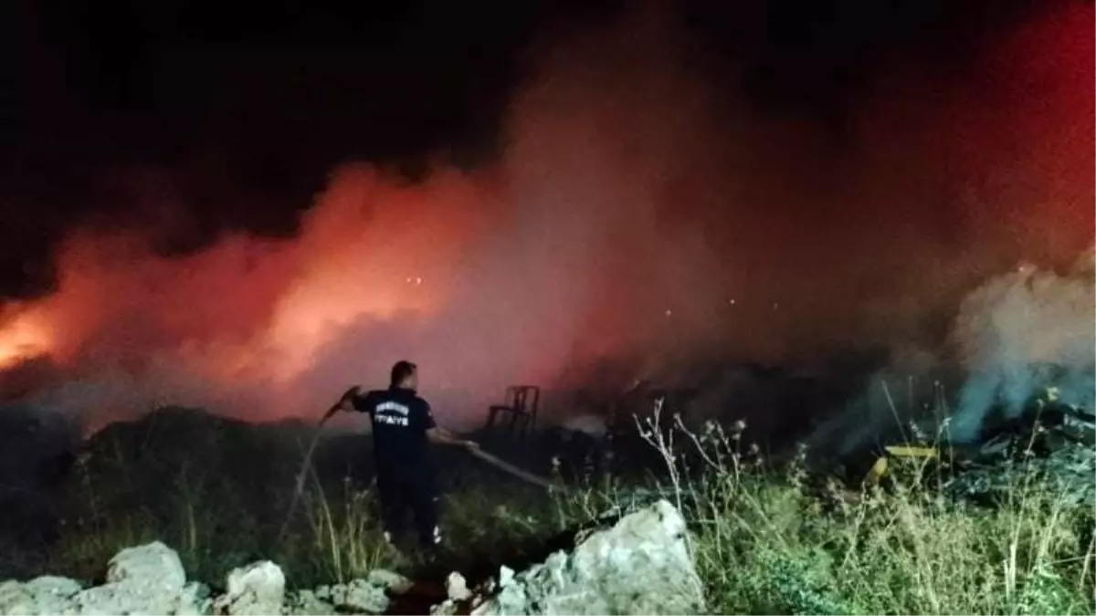 Didim'de Makilik Alanda Yangın: Kısa Sürede Kontrol Altında
