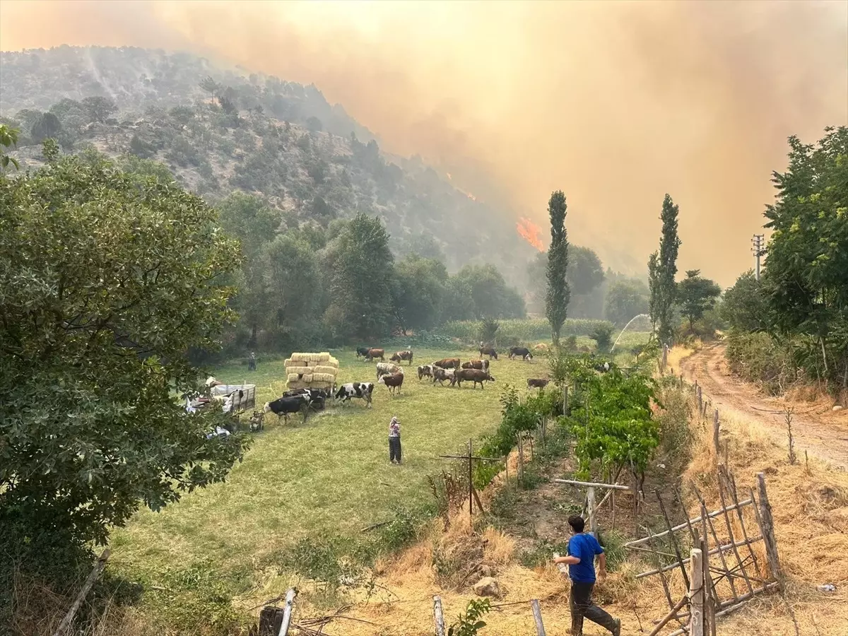 Uşak'ta Meşelik Yangını: 4 Köy Tahliye Edildi