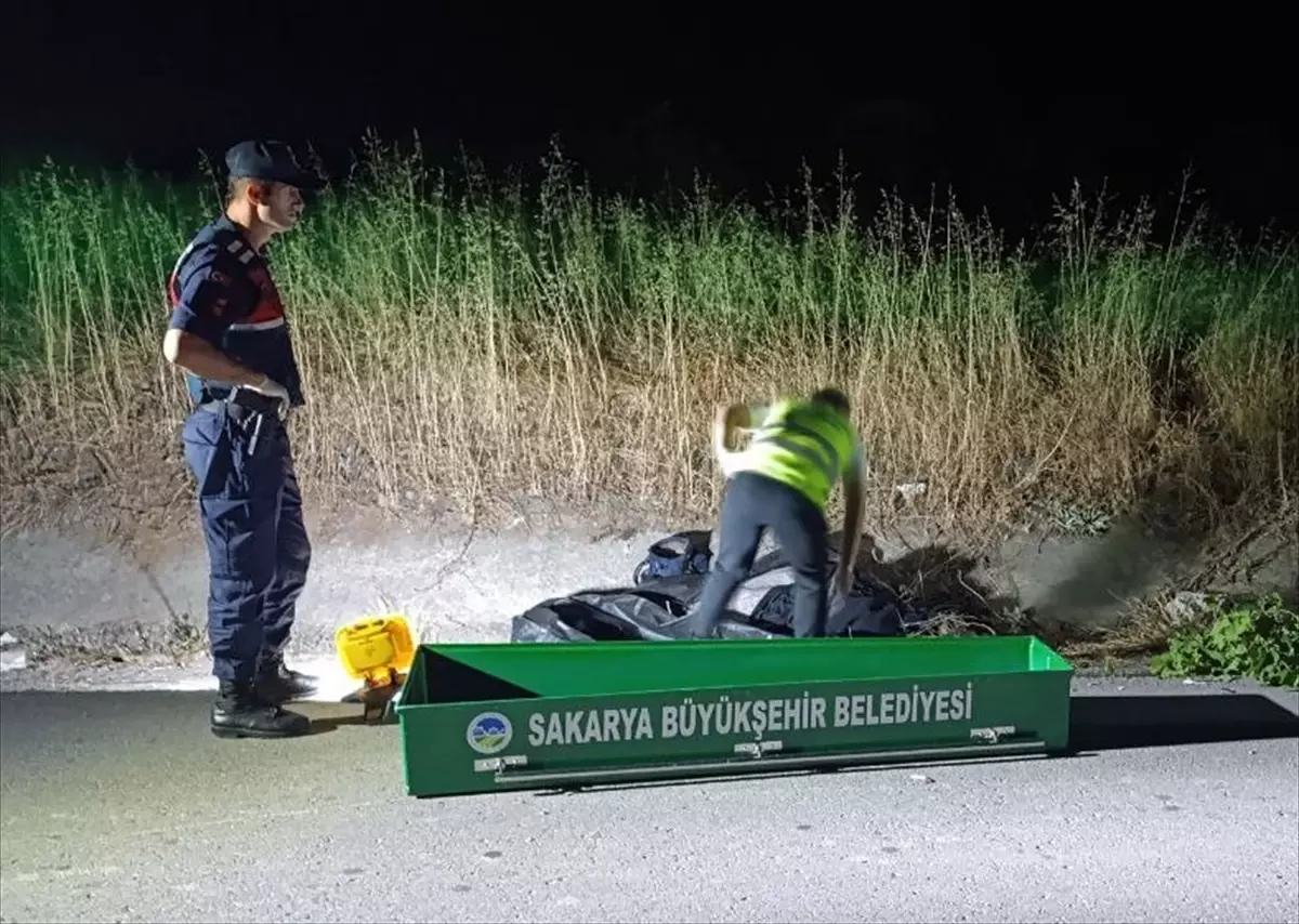 Karasu'da Yaya Kazası: 68 Yaşındaki Kadın Hayatını Kaybetti
