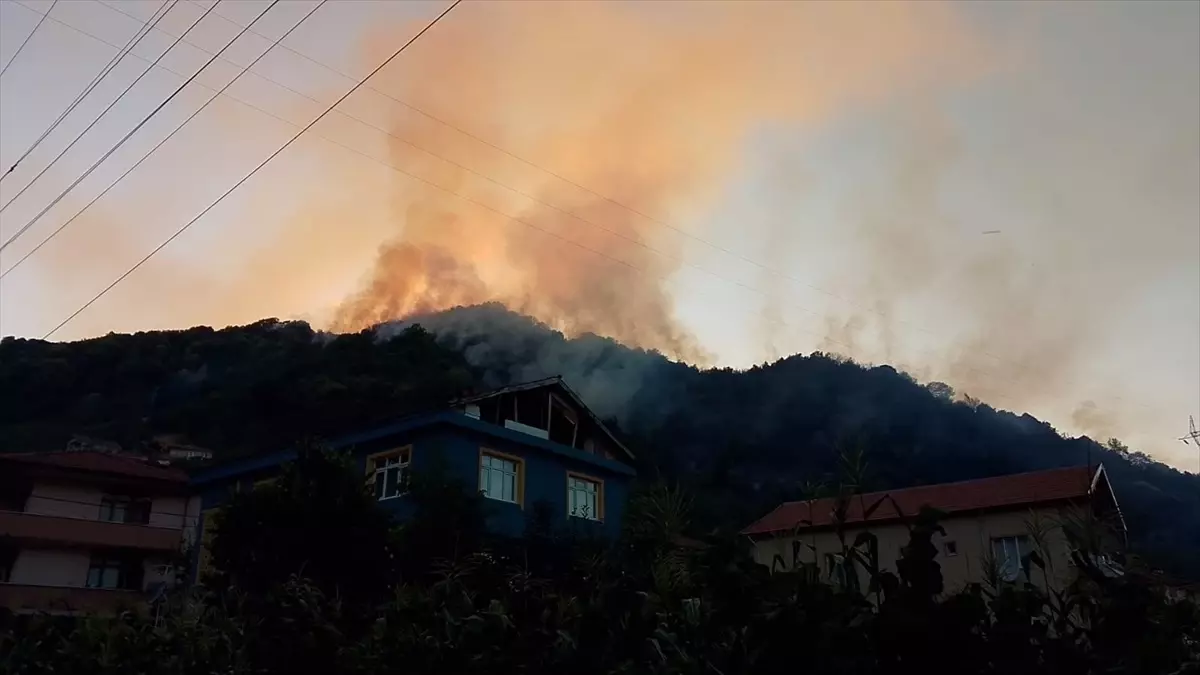 Ereğli'de Orman Yangını Kontrol Altına Alındı