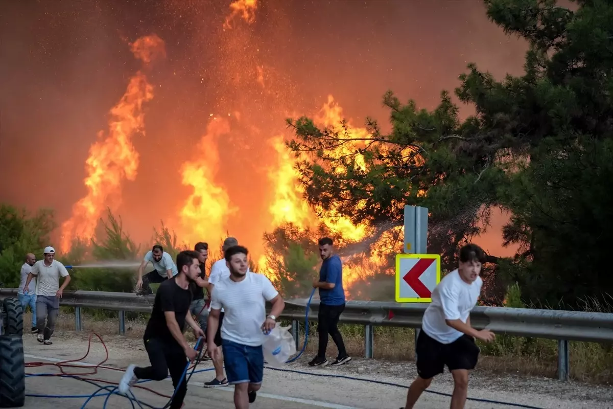Bursa'da Orman Yangını
