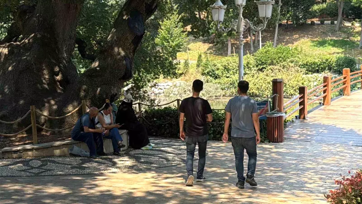İstanbul'da Sıcak Havadan Kaçış: Bebek Sahili Doldu Taşdı