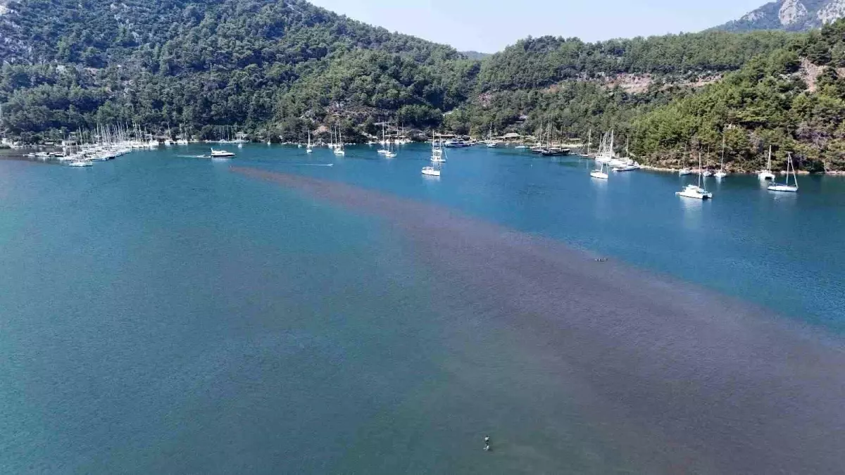 Kızkumu Plajı, Turistlerin Gözdesi