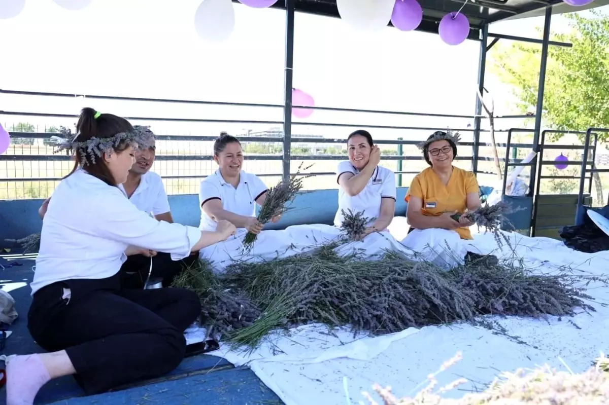 Lavanta Hasat Etkinliği Keyifli Anlar Sundular