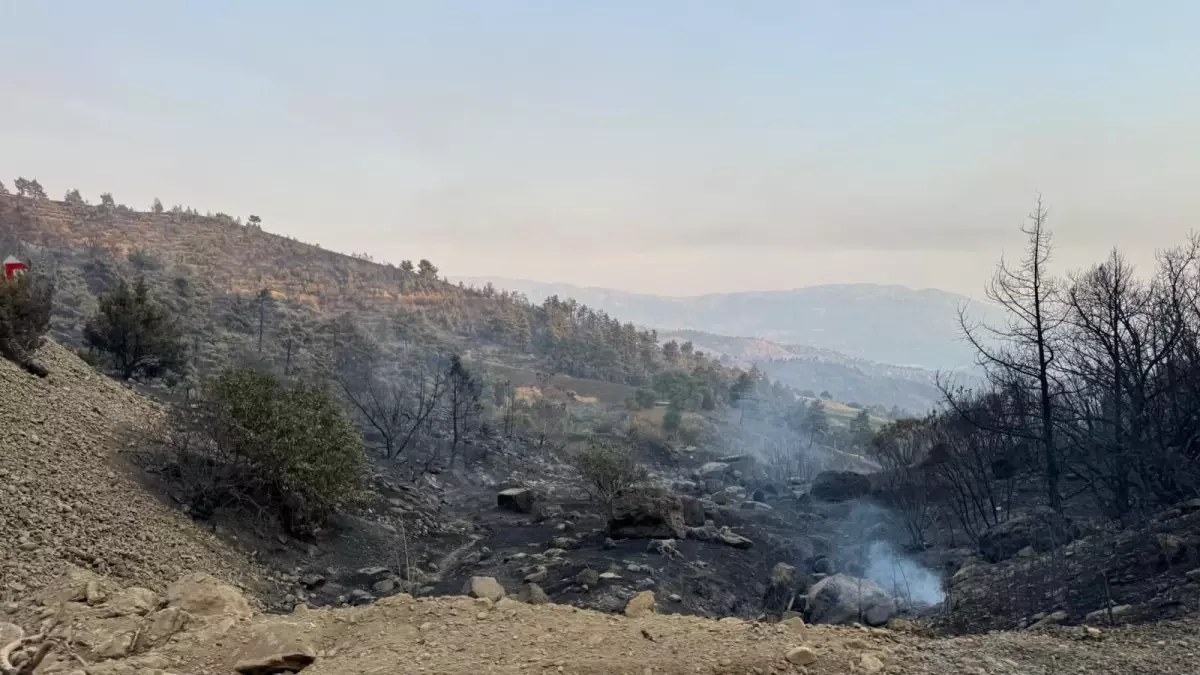 Kahramanmaraş'ta 500 Hektar Orman Yangını