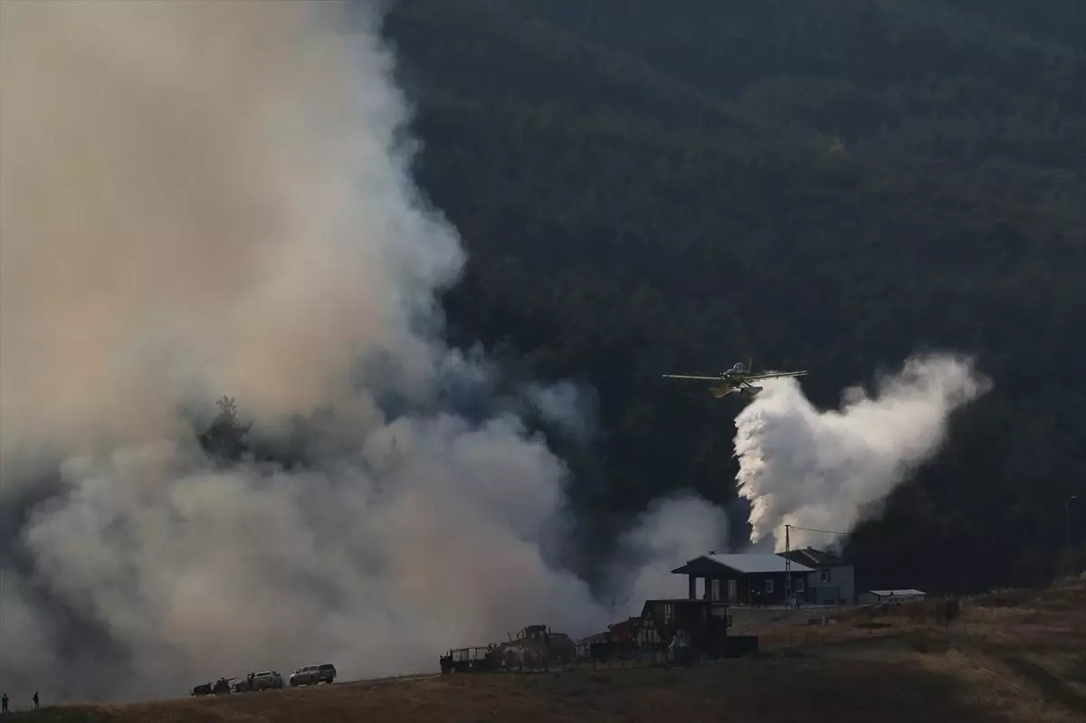 Bursa'da Orman Yangını: Müdahaleler Devam Ediyor