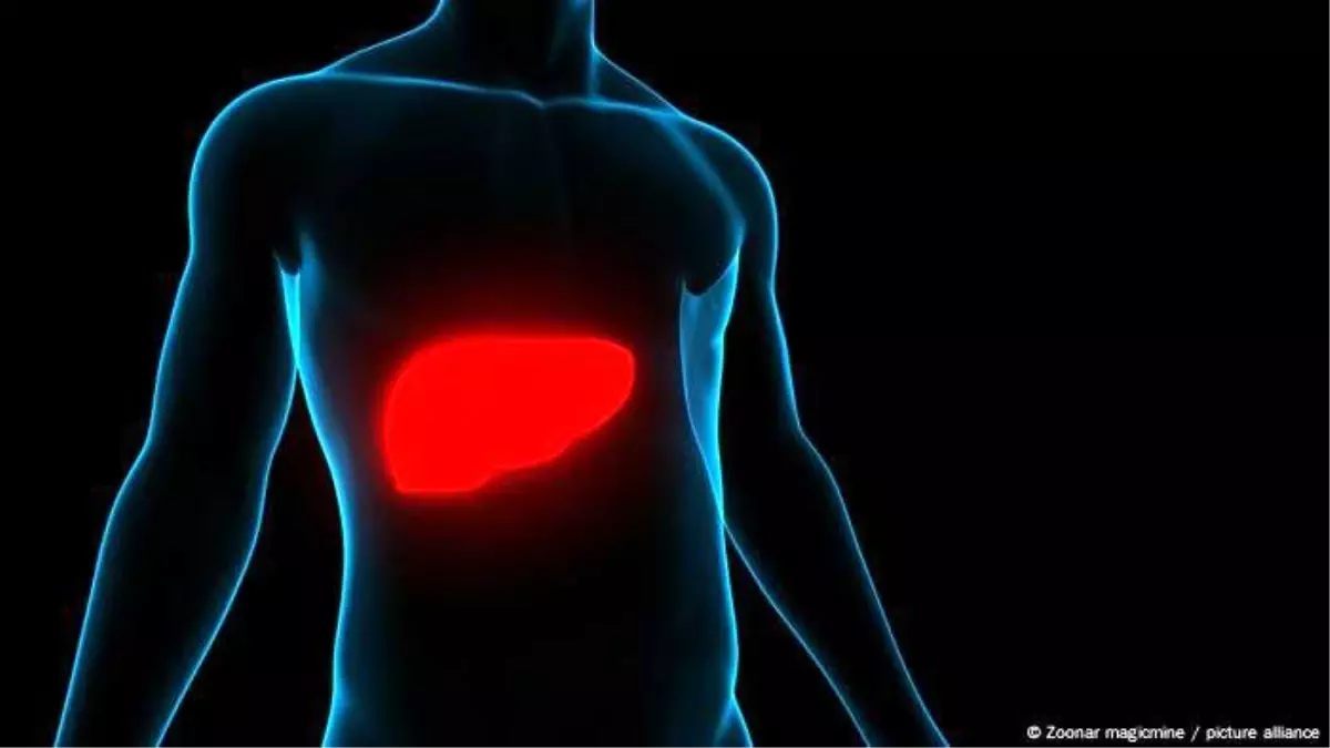 Hepatit Türleri ve Korunma Yöntemleri