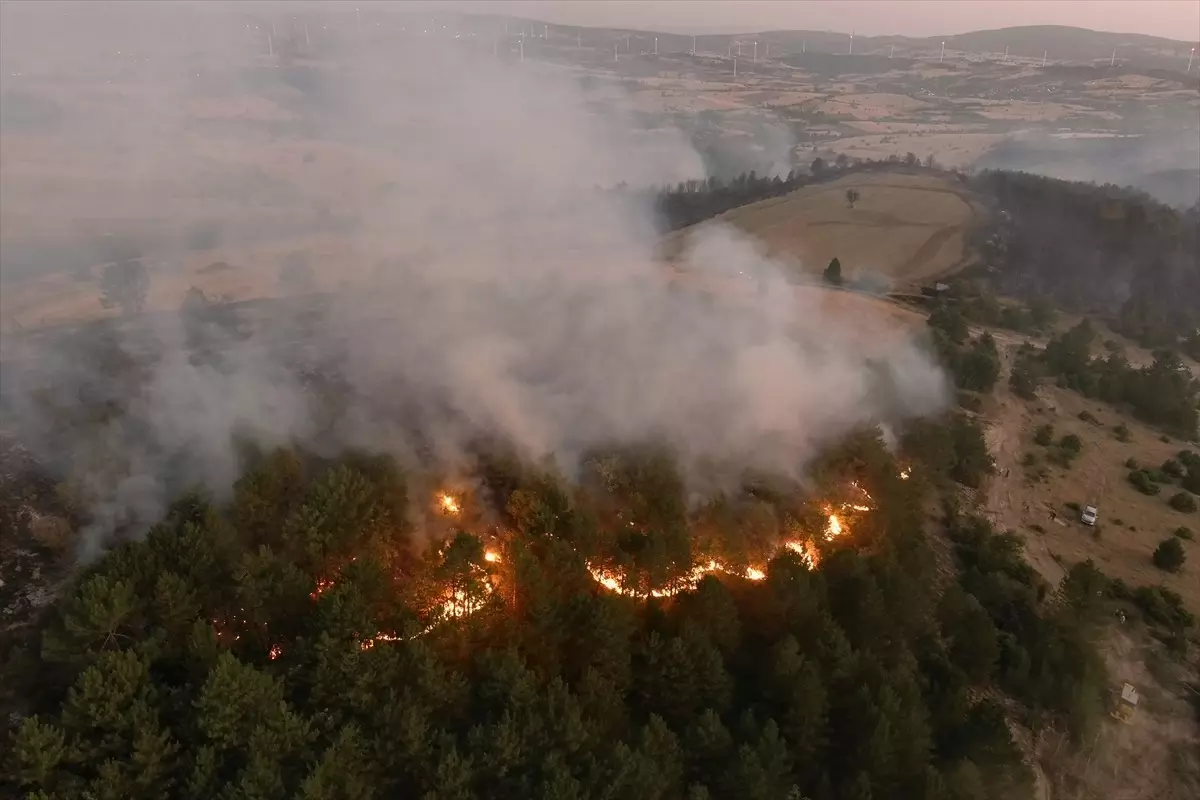 Dumlupınar'da Orman Yangını Kontrol Altında