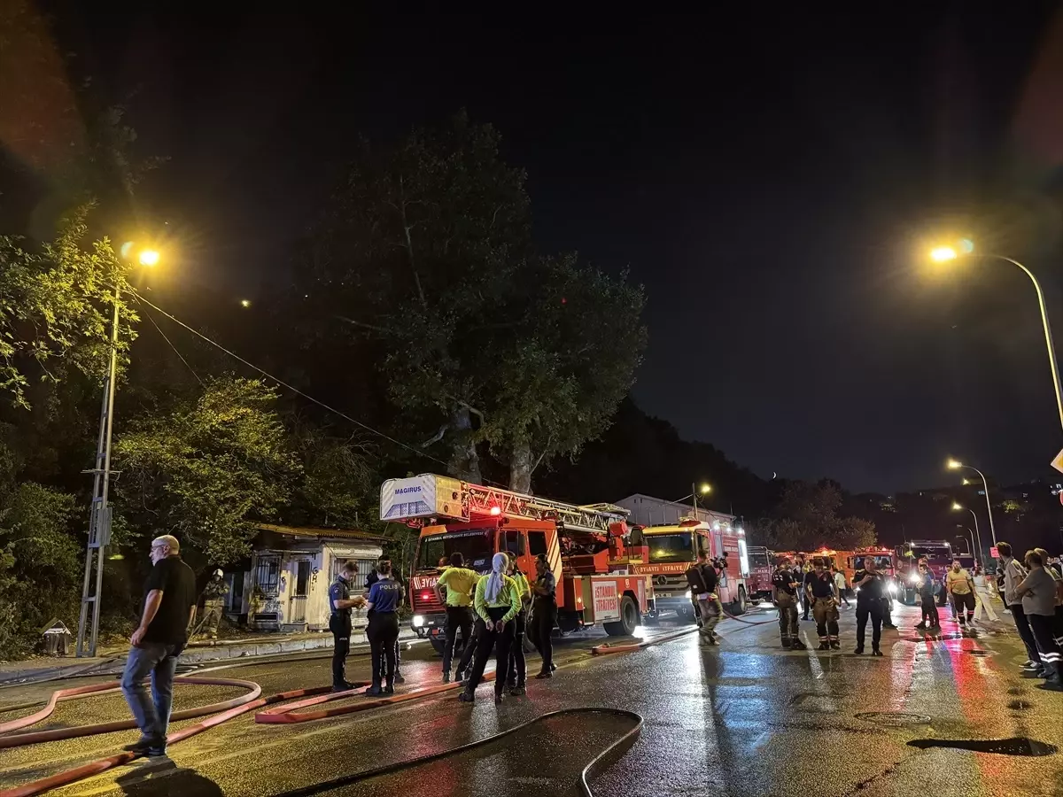 Beykoz'da Orman Yangını Söndürüldü