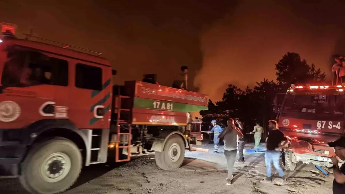 Karabük'te ormanlık alanda yangın! İki köy tahliye edildi