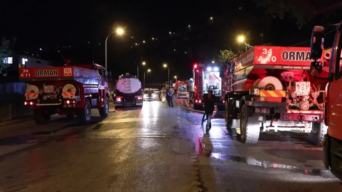 Beykoz'da ormanlık alanda yangın çıktı