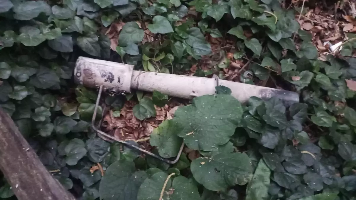 Sakarya'daki orman yangınının sebebi belli oldu: 2 gözaltı