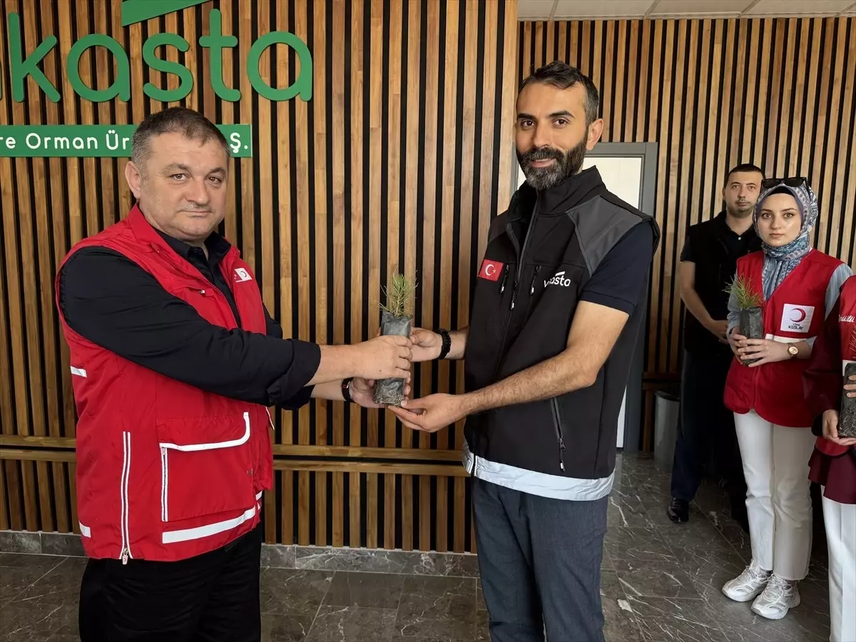 Kastamonu'da Fidan Bağışı