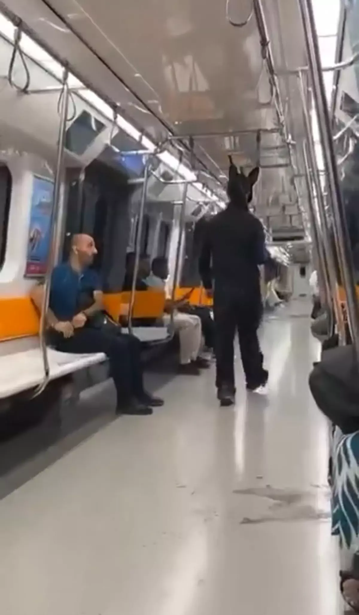 Tavşan Kostümlü Genç Metroda Tüfekle Yakalandı
