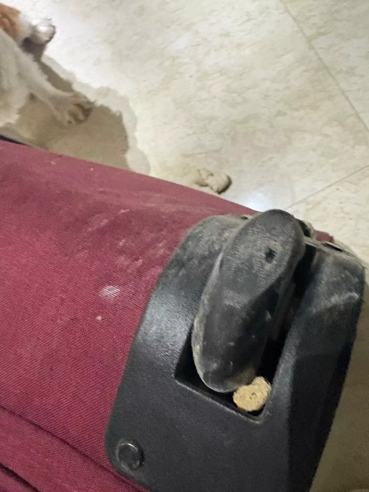 THY Uçakta Duman Alarmı: 247 Yolcu Tahliye Edildi