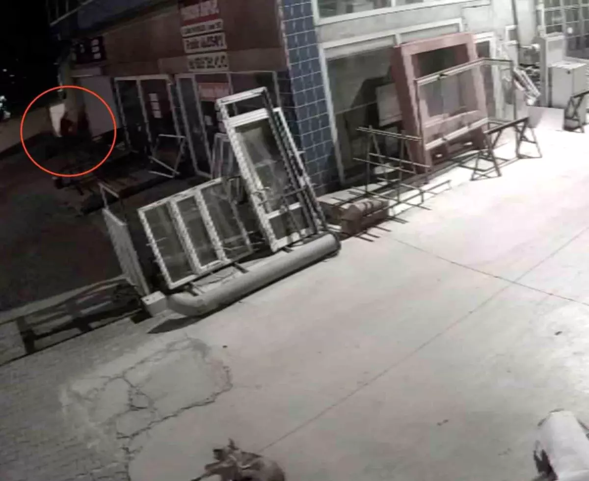 Kastamonu'da Köpeğe İşkence