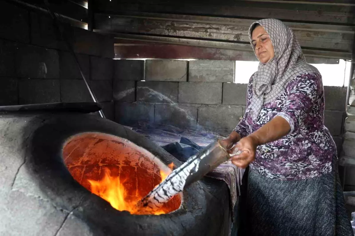 Hatay'da Emekçi Kadınların Tandır Mücadelesi