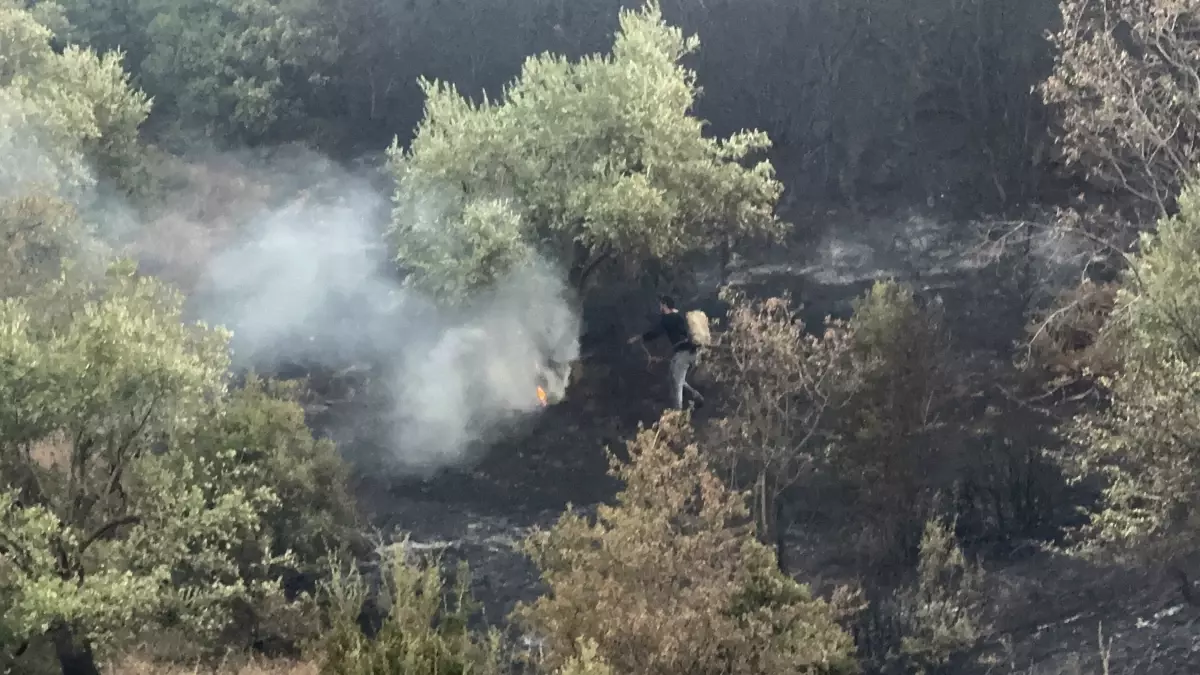 Turgutlu'da Yangın Kontrol Altında