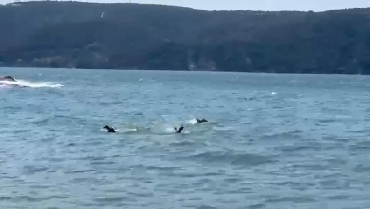 Beykoz'da tekne alabora oldu: 3 kişi kurtarıldı, 1 kişi hayatını kaybetti