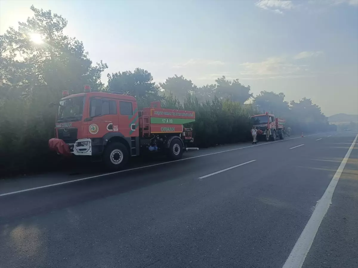 Edirne'de Orman Yangını Kontrol Altında
