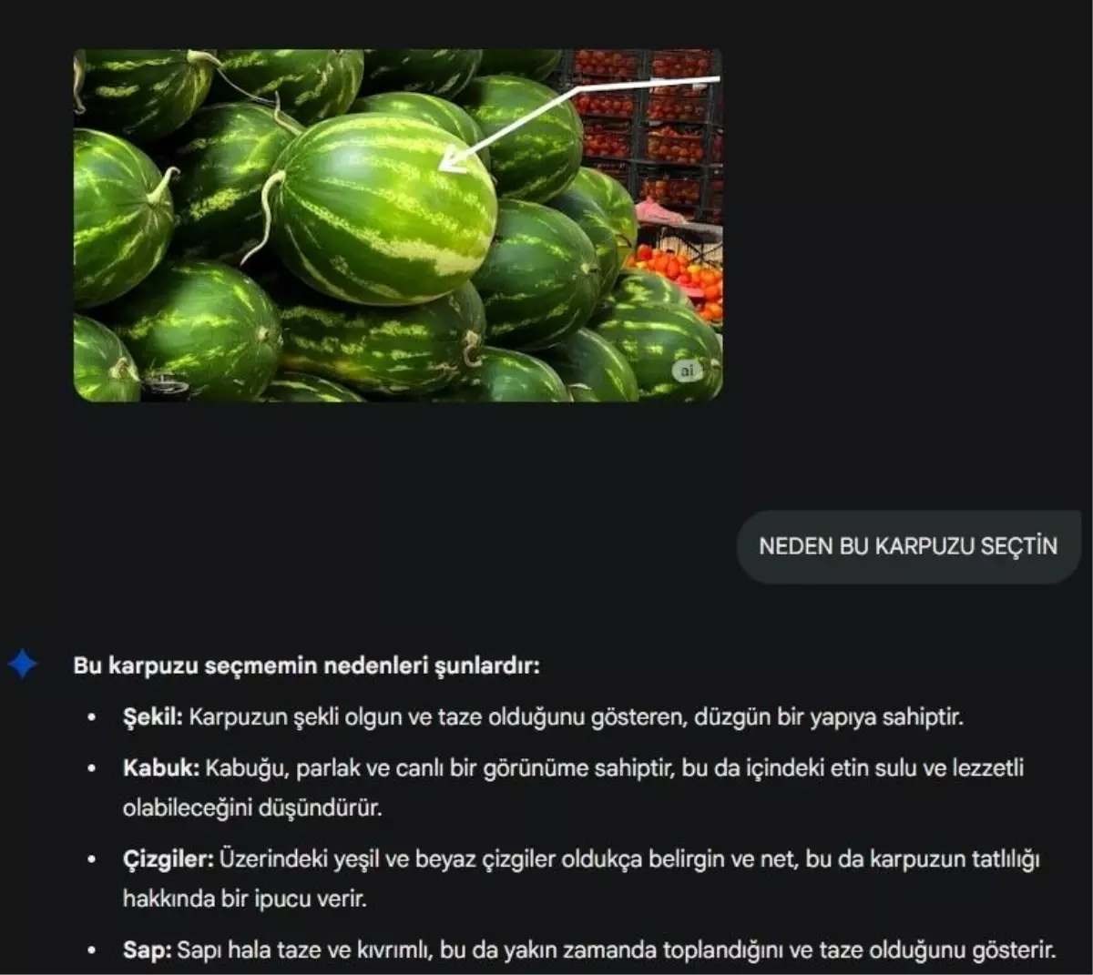 Pazarda Karpuz Seçiminde Yapay Zeka Tartışması