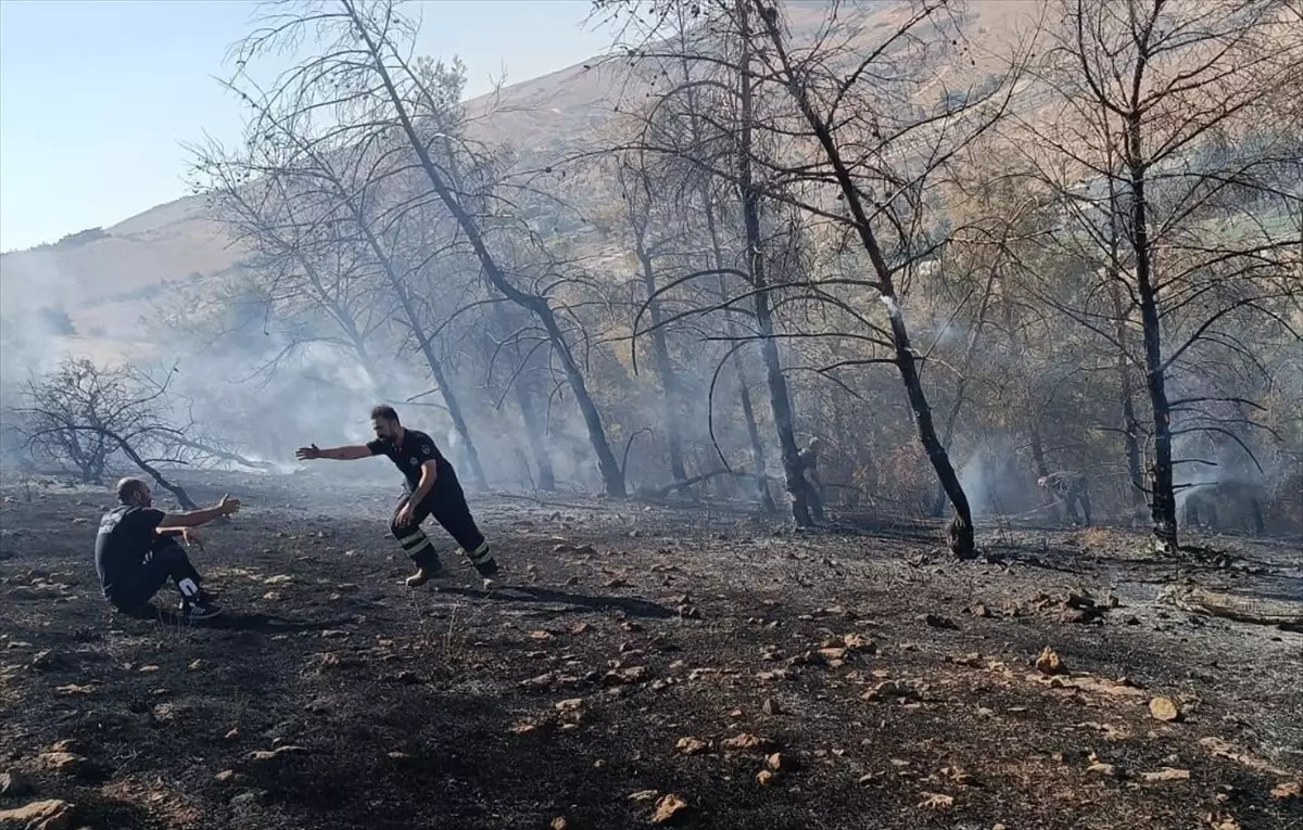 Şanlıurfa'da Orman Yangını Kontrol Altında