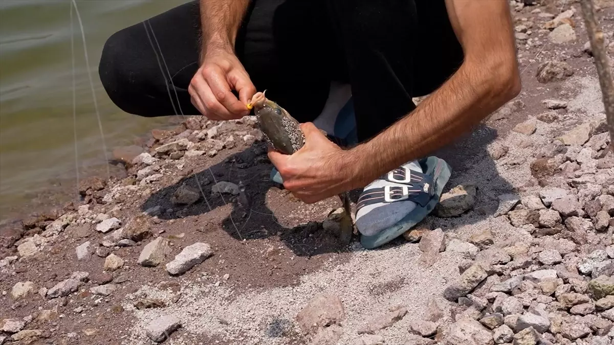 Sındırgı'da Amatör Balıkçı Yarışması Heyecanı
