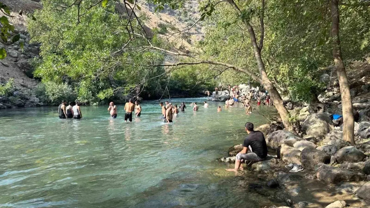 Yüksekova'da Sıcaklarla Mücadele: Avaşin Deresi'te Serinleme