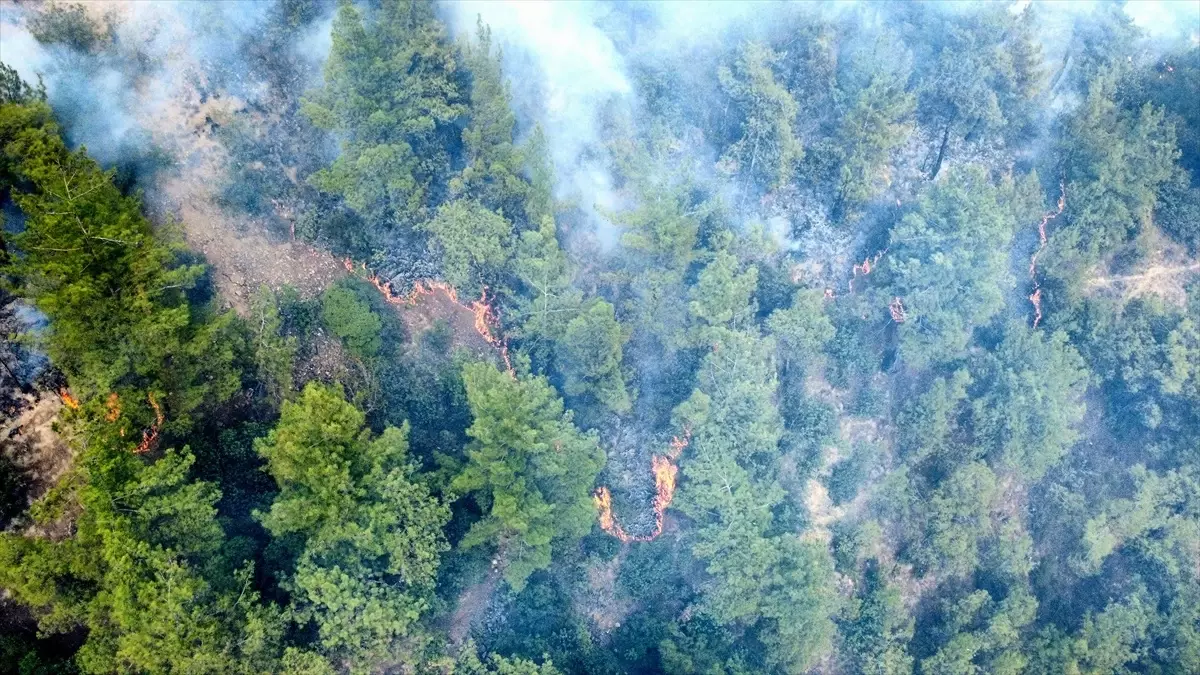 Karabük'te Orman Yangını Kontrol Altına Alındı