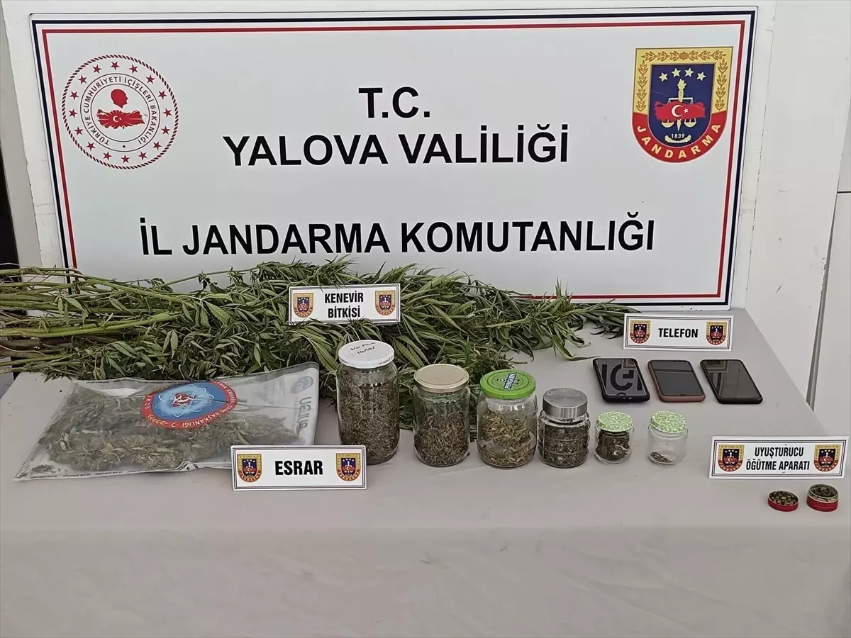 Yalova'da Uyuşturucu Operasyonu: 3 Gözaltı