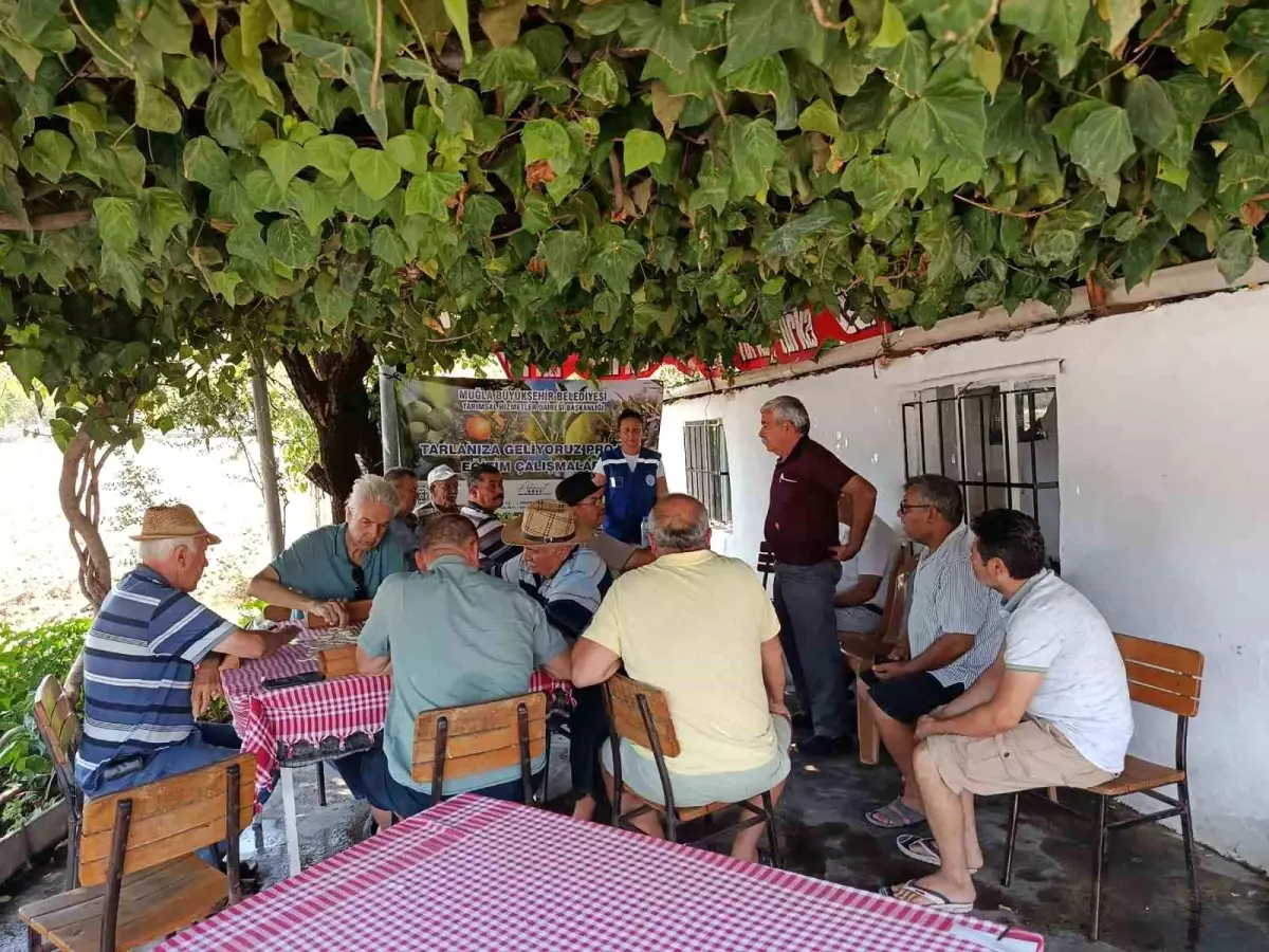 Muğla'da Zeytin Üreticilerine Eğitim Desteği