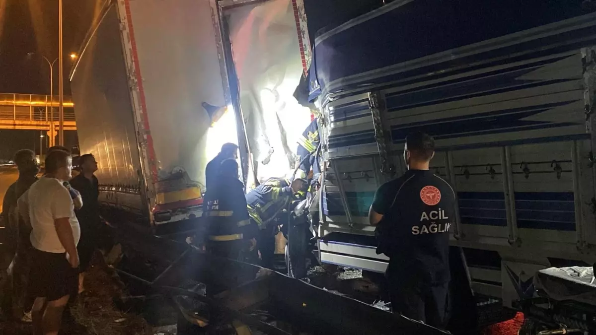Kocaeli'de Trafik Kazası: Genç Şoför Hayatını Kaybetti