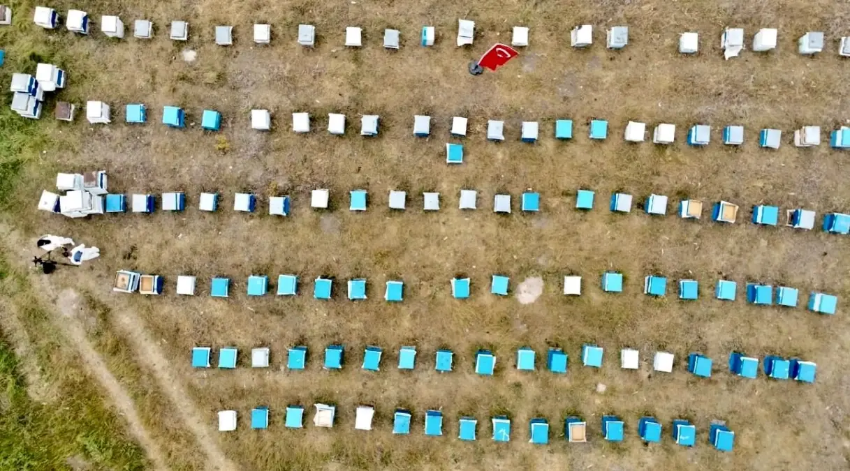 Ağrı'da Kadınlardan Bal Üretimine Destek
