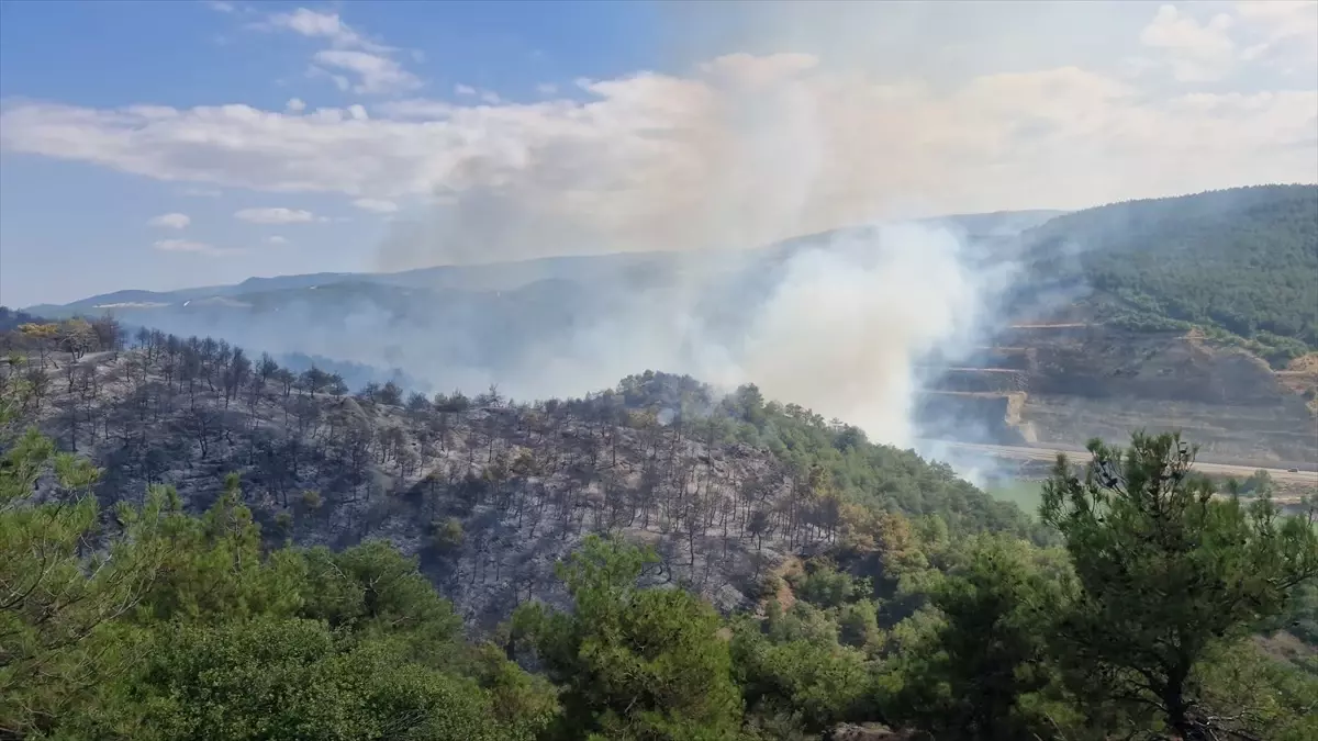Tokat'ta Orman Yangını Kontrol Altına Alındı