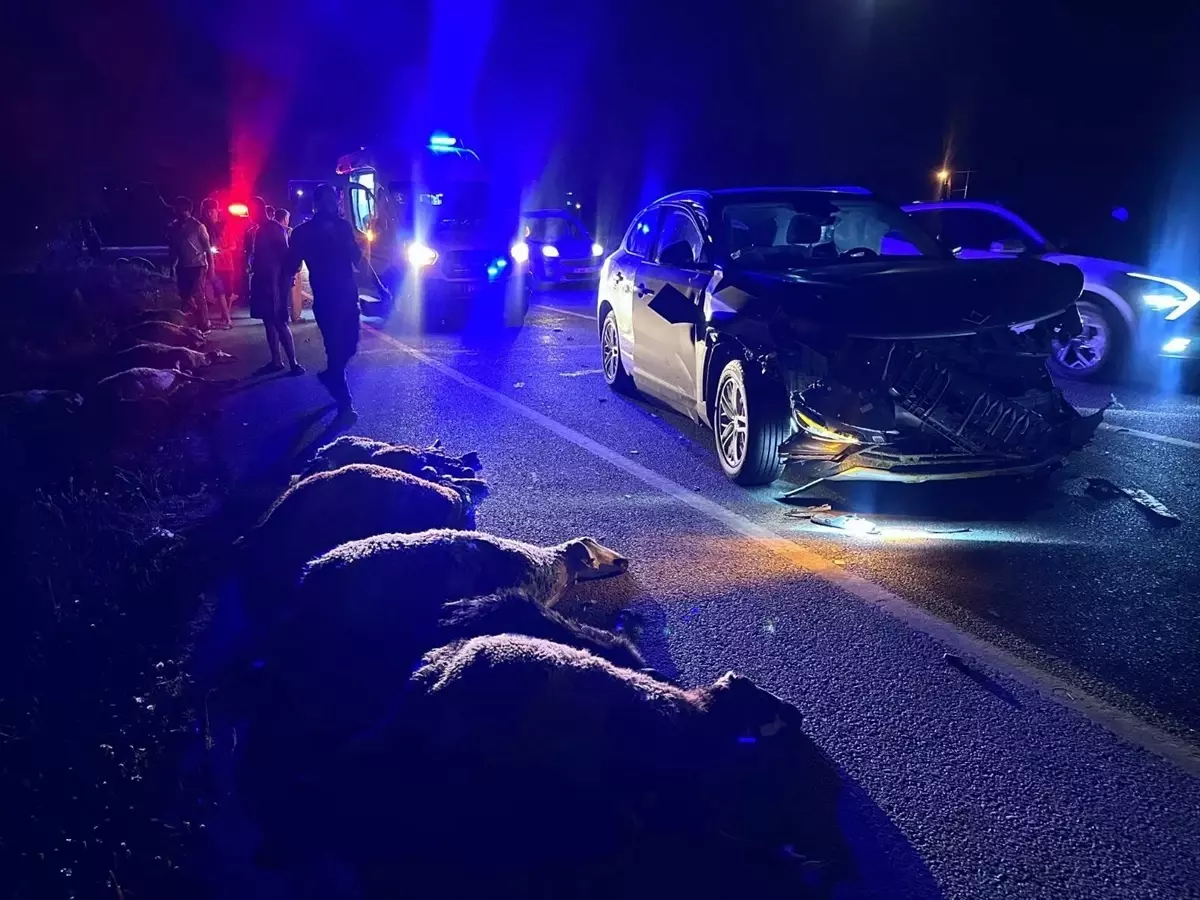 Erzincan'da SUV Aracın Çarptığı Hayvanlar Telef Oldu
