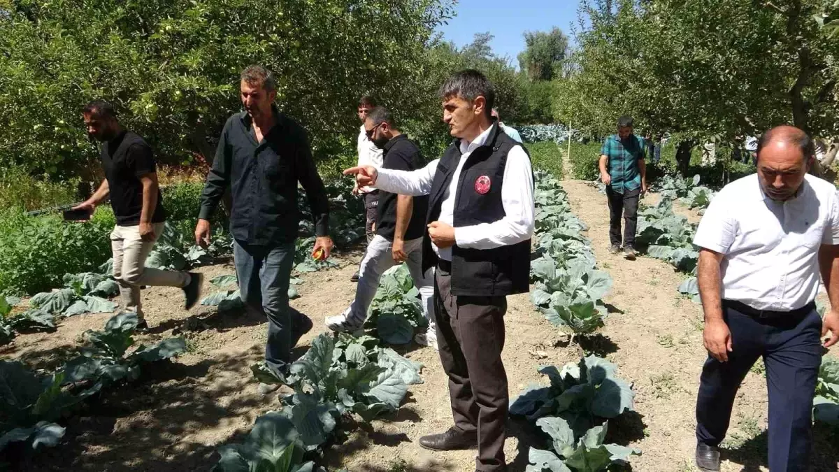 Modern Sulama ile Verim Artışı