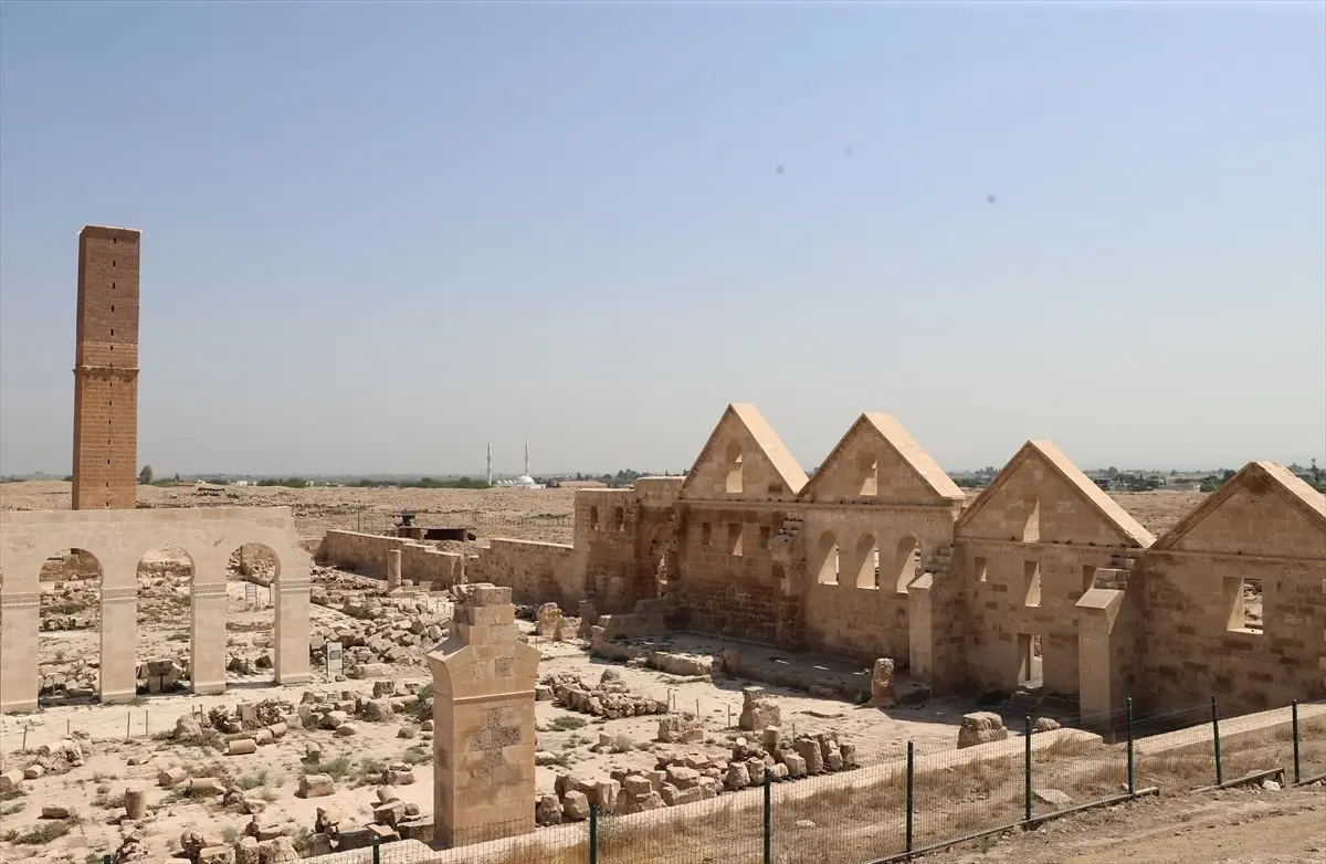 Harran'da Tarih Kazı Çalışmaları Sürüyor
