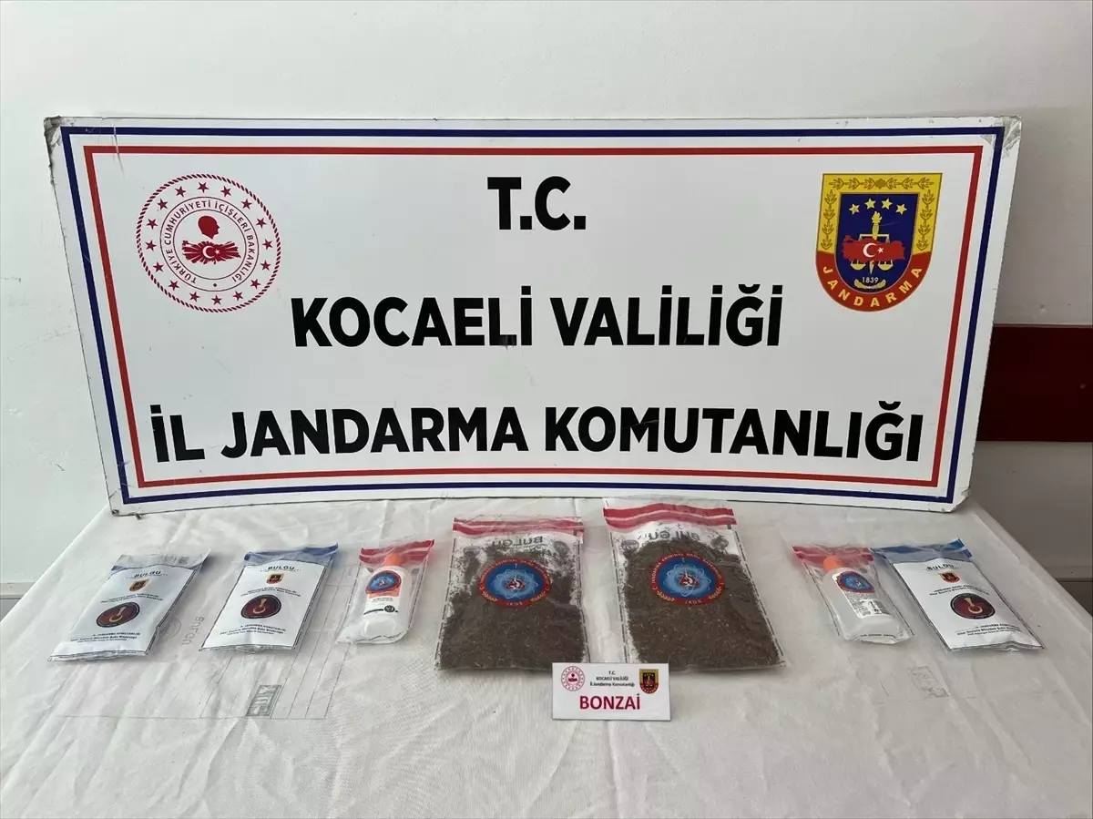 Kocaeli'de Uyuşturucu Operasyonu: 2 Tutuklama