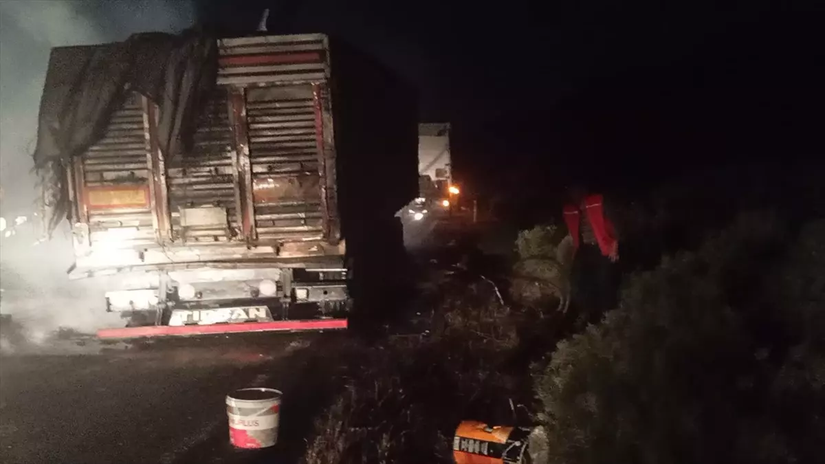 Siirt'te Buğday Yüklü Tır Yandı