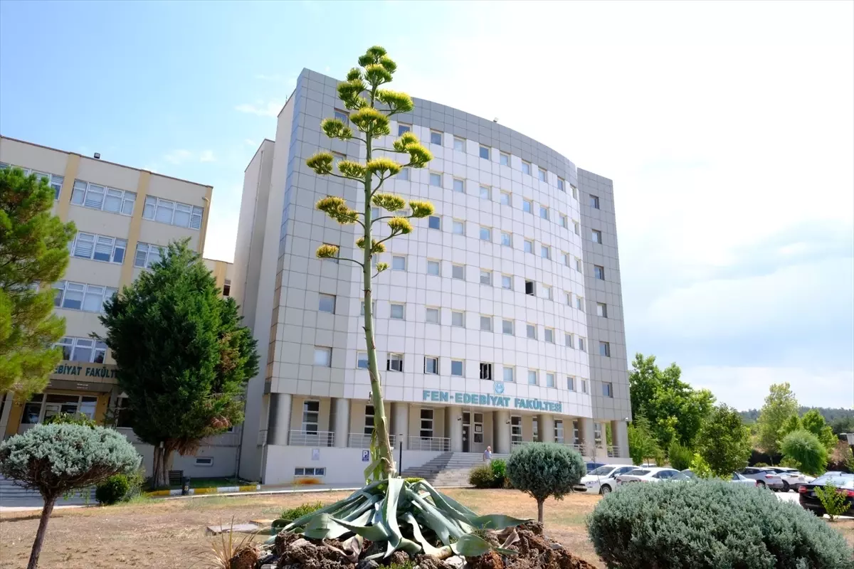 BAÜN'de 20 Yıl Sonra Çiçek Açan Agave