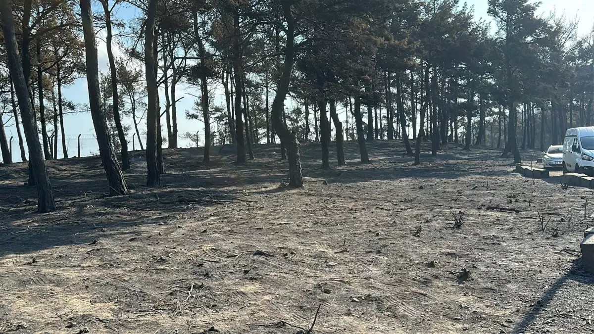 Sarıcaeli'nde Yangın Delilleri Dronla İncelendi